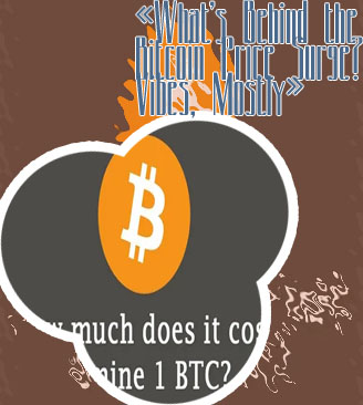 How much do bitcoins cost